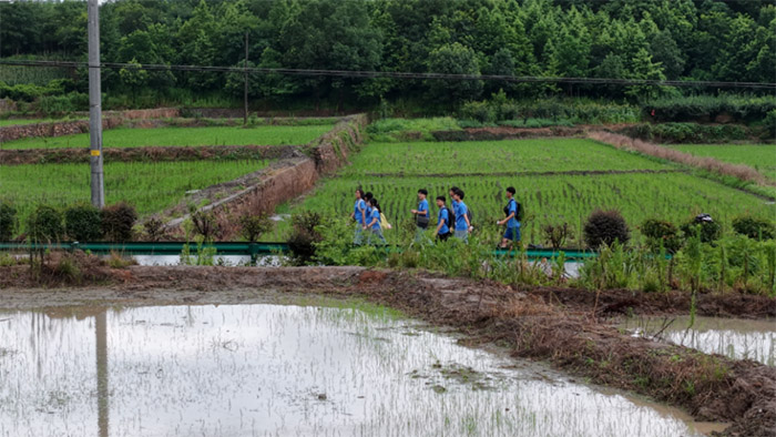 青年“鄉(xiāng)村CEO”：鄉(xiāng)村振興的新引擎