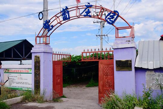 南京財(cái)經(jīng)大學(xué)“疆禾”團(tuán)隊(duì)專(zhuān)訪紫葡莊園：探索新疆葡萄產(chǎn)業(yè)發(fā)展新路徑