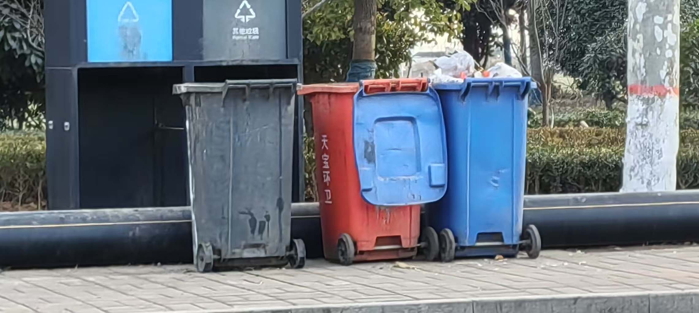 調(diào)查社區(qū)垃圾分類情況，以小行動撬動大環(huán)保