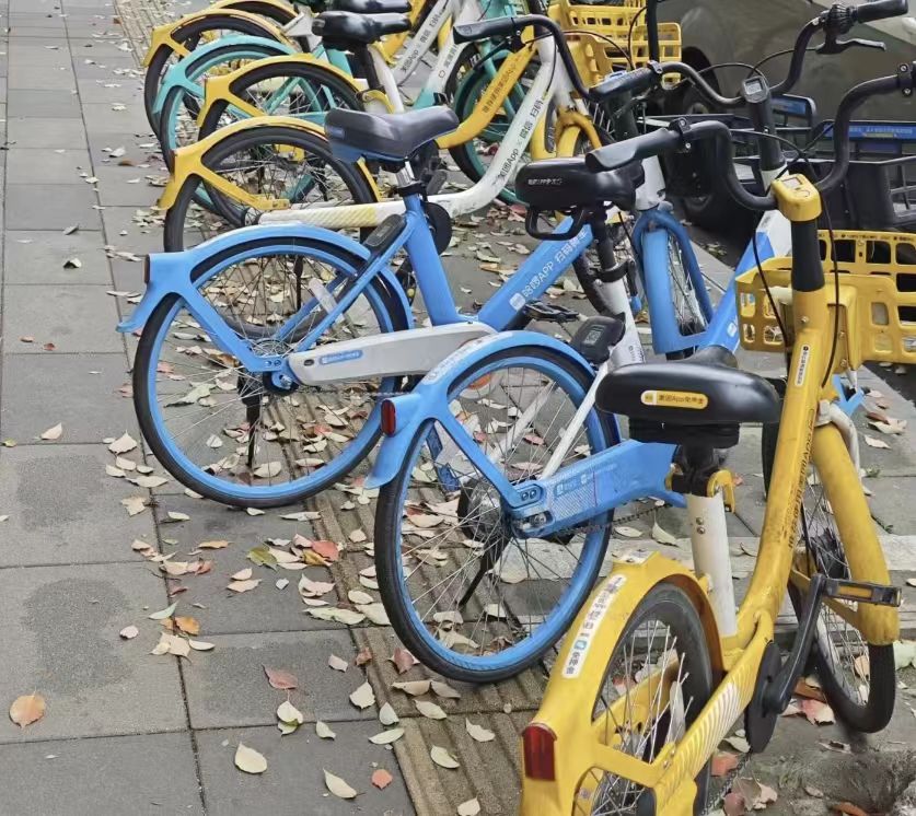   拂塵凈道，愛暖盲途——四川農(nóng)業(yè)大學(xué)學(xué)子開展盲道清理與盲人需求調(diào)研行動(dòng)