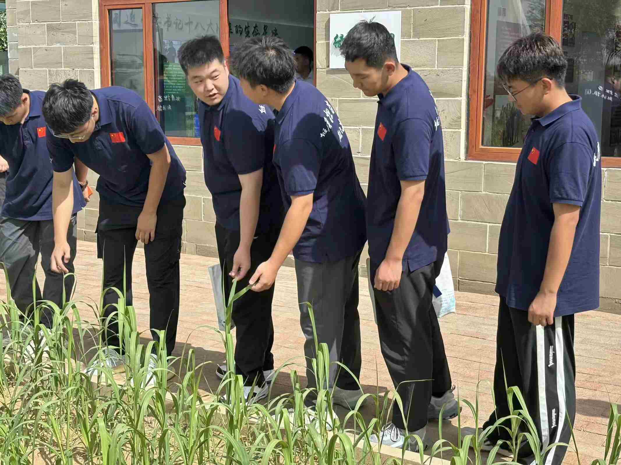 走進神東采煤沉陷區(qū)生態(tài)基地：見證綠色奇跡