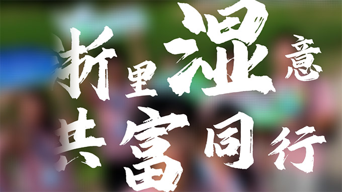 【浙里“濕”意】玉環(huán)漩門灣國家濕地公園丨滄海桑田繪青綠畫卷，鷺棲民樂