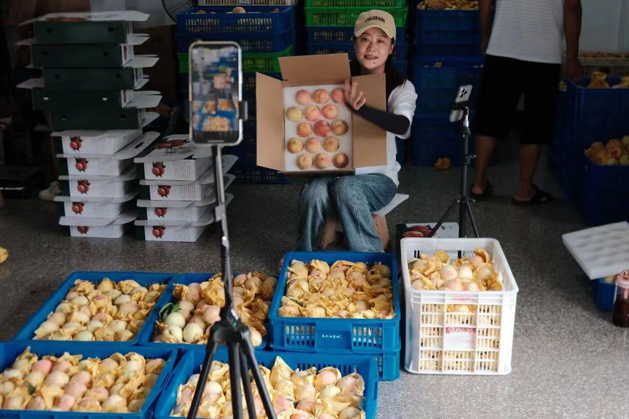 寧大學(xué)子桃趣橫生：直播間里甜度爆表，桃之夭夭助農(nóng)新風(fēng)尚