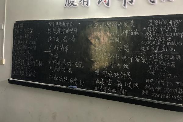 暑期社會實(shí)踐/武昌理工學(xué)院“青春筑夢”通城志愿服務(wù)隊(duì)開展 “韻動心聲”音樂與手勢舞融合藝術(shù)課程