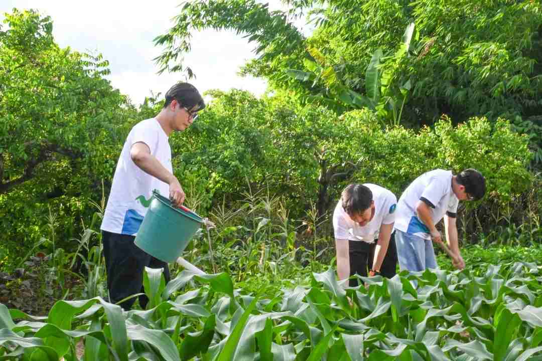 牛舞英韻特輯|潮采鄉(xiāng)野間，振興譜新篇