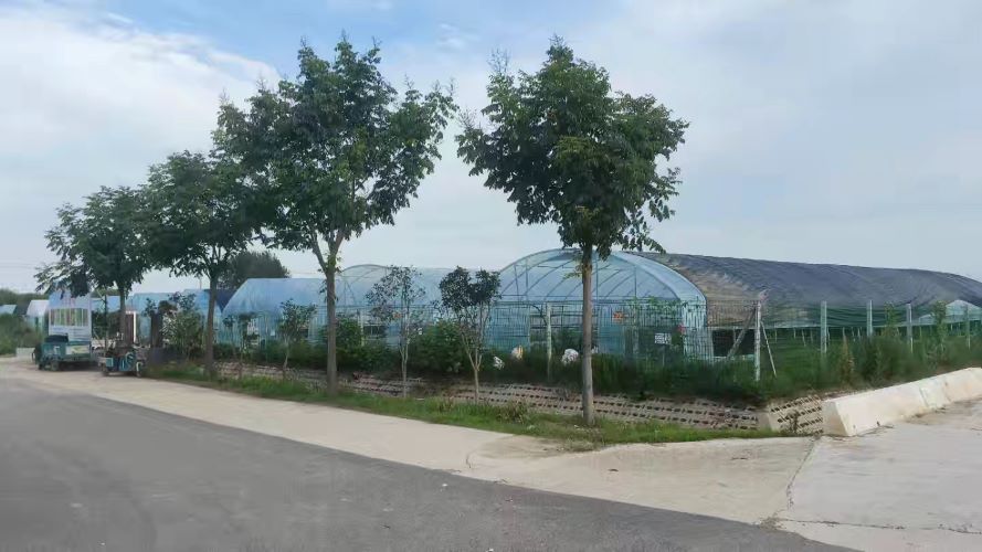 農(nóng)業(yè)高科技產(chǎn)品：引領農(nóng)業(yè)新變革與農(nóng)民新需求