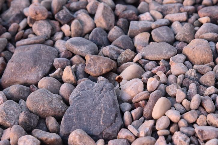 蟻行微末筑宏夢(mèng)，塔聳云霄展壯圖