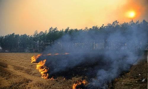 創(chuàng)新道路材料，變廢為寶，鑄就鄉(xiāng)村新發(fā)展——小麥秸稈瀝青道路