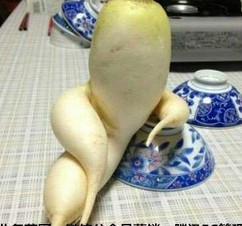 超搞笑圖片，讓你爆笑不停