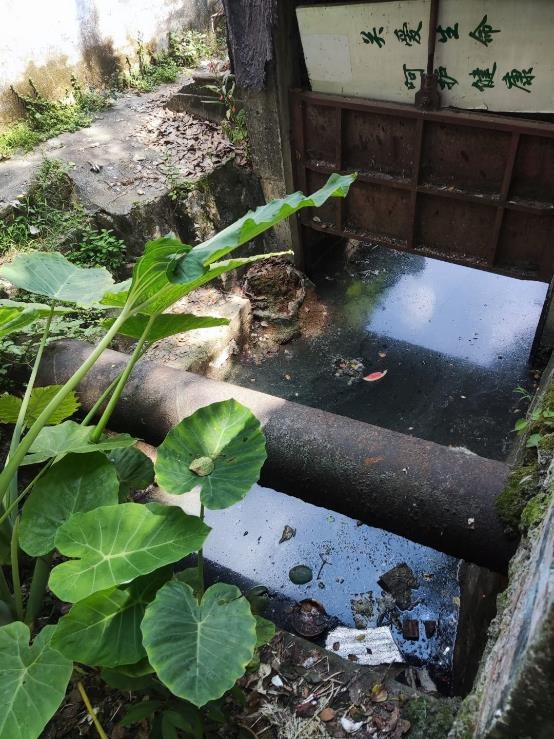 凈化水源，保護(hù)清潔水資源