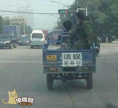 各式各樣的囧圖片