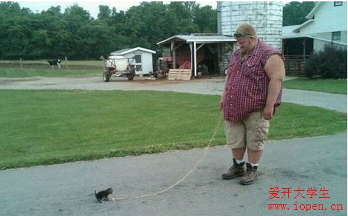 外國人遛狗就是和我們國人不一樣，遛狗都這么有個性