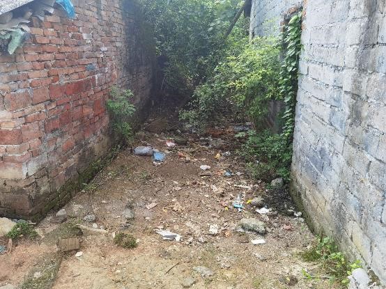 守護(hù)地球，共建綠色家園