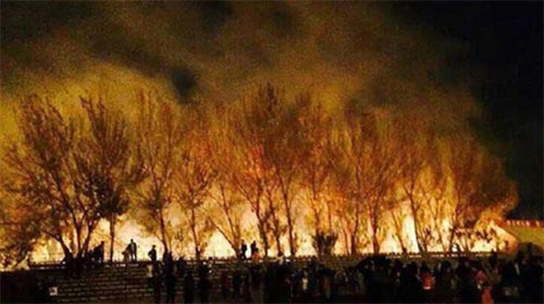 遼寧一男大學(xué)生放煙花向?qū)W姐表白引大火