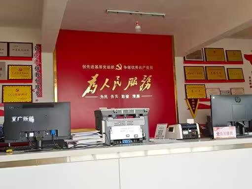 青春獻(xiàn)力基層