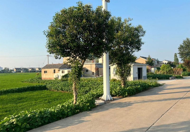 “紅綢紛染，青葉點綴，揮斥田間幾許風光”暑期社會實踐