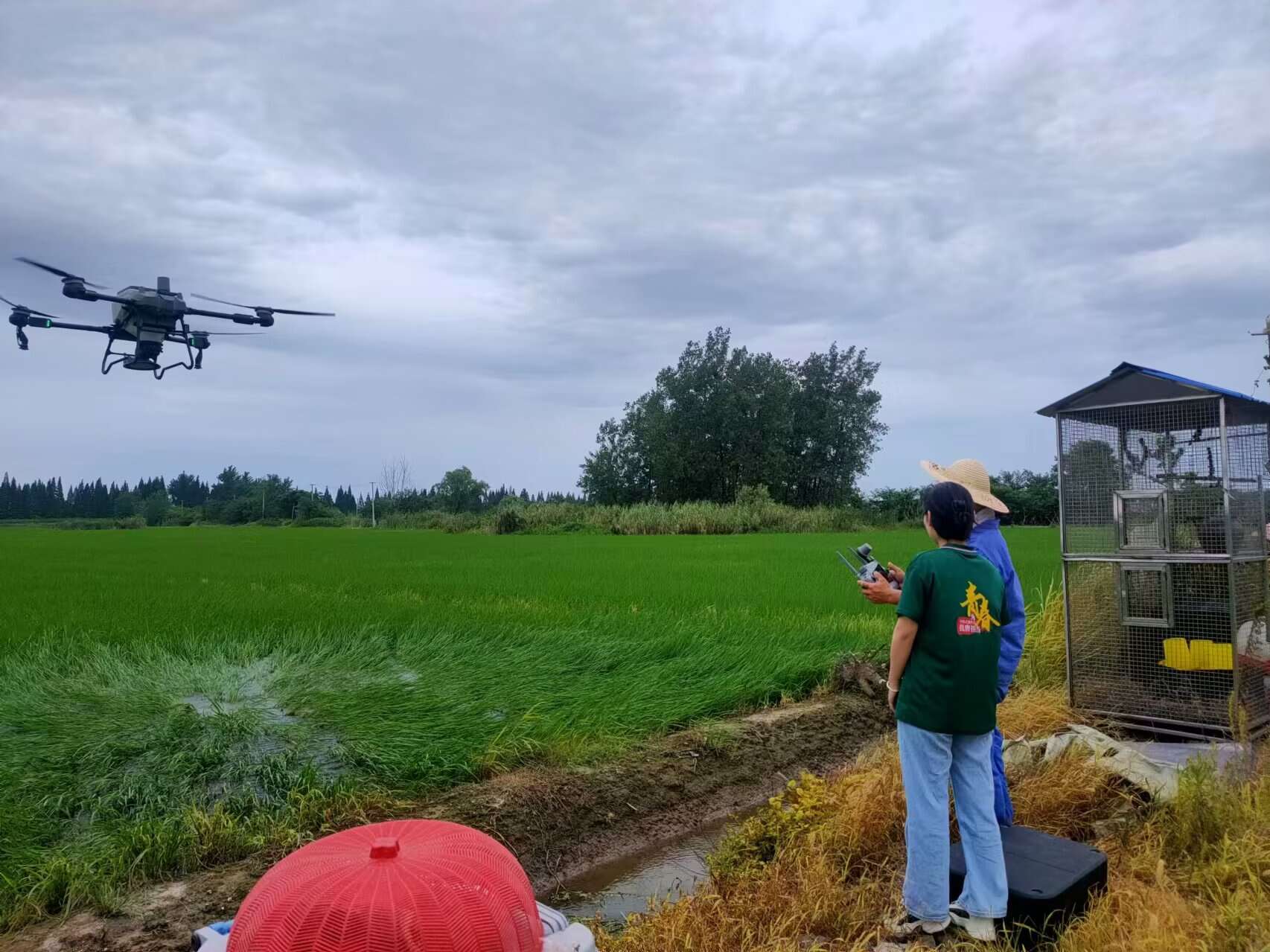 巢湖學(xué)院數(shù)學(xué)與大數(shù)據(jù)學(xué)院赴同大鎮(zhèn)“智造農(nóng)業(yè)，數(shù)聯(lián)鄉(xiāng)村”智慧農(nóng)業(yè)發(fā)展調(diào)