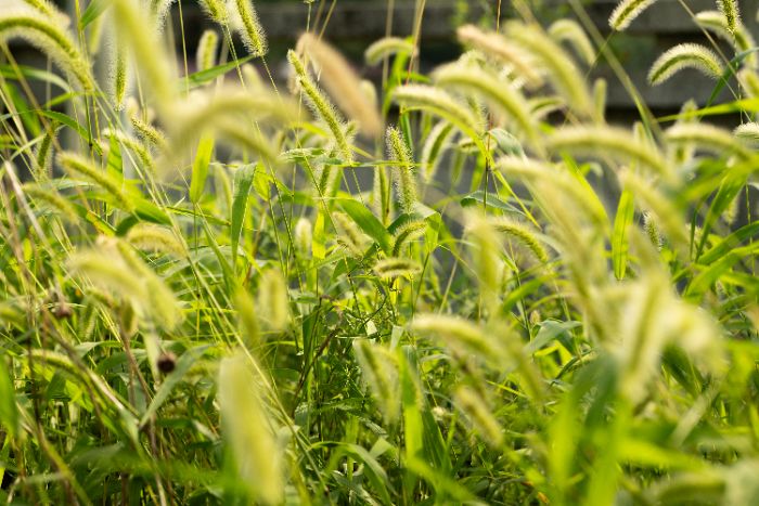 個(gè)人感悟|河海大學(xué)“追光”支教團(tuán)吳夢(mèng)晴