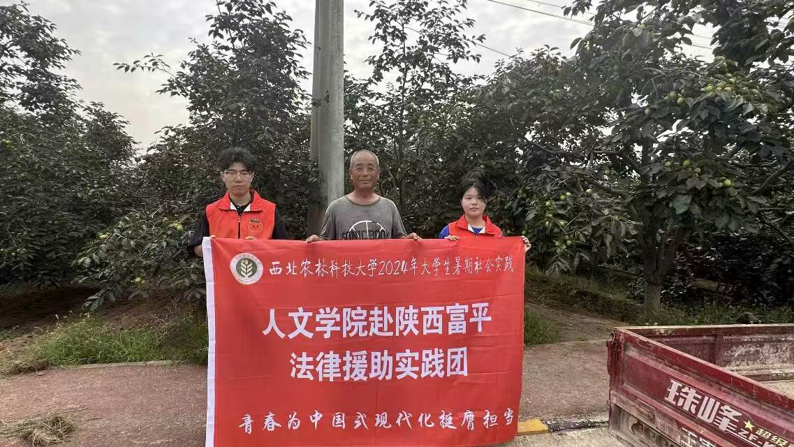 富平柿子  法律援助