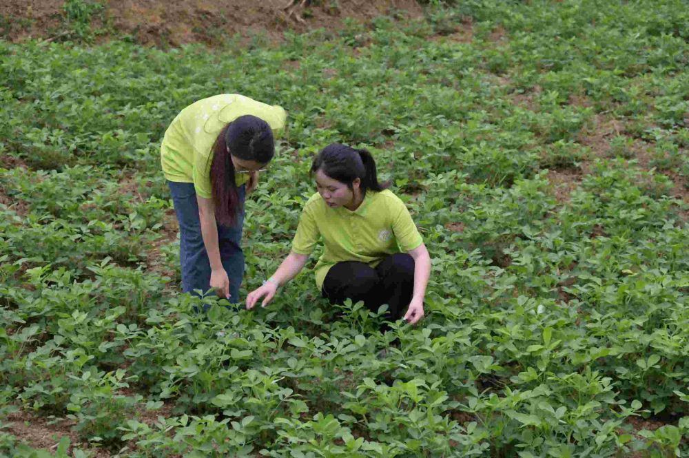 科技文化下鄉(xiāng)，賦能鄉(xiāng)村發(fā)展——西南石油大學“豆福千家”團隊 三下鄉(xiāng)