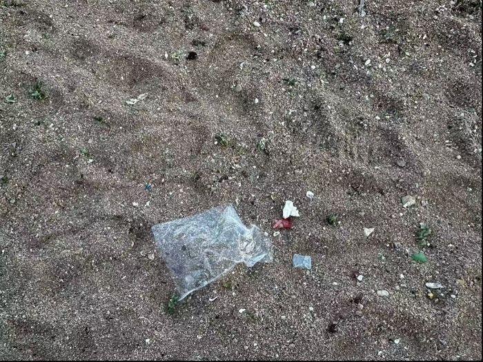 山東大學(xué)“滌沙先鋒”調(diào)研團(tuán)