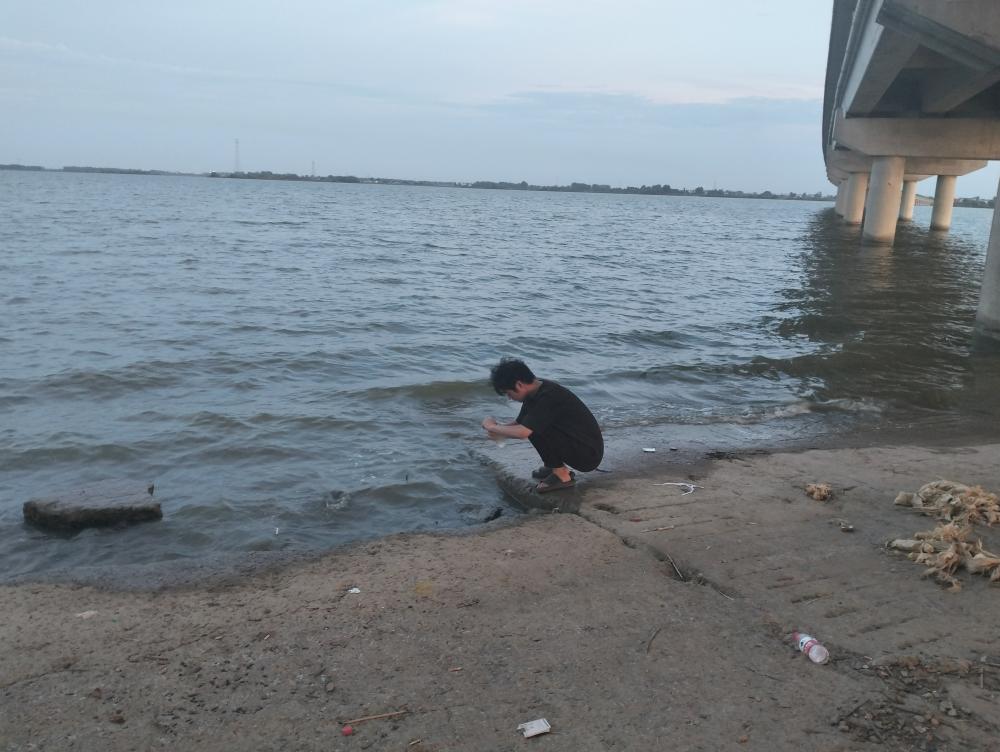 社會(huì)實(shí)踐心得：探索環(huán)境問(wèn)題與公共參與