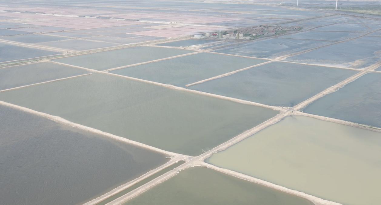 無棣縣與沾化區(qū)產(chǎn)業(yè)調(diào)研：制鹽業(yè)的繁榮發(fā)展