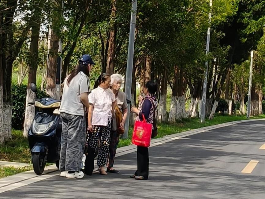 下鄉(xiāng)研土地根脈，螢火助鄉(xiāng)村振興