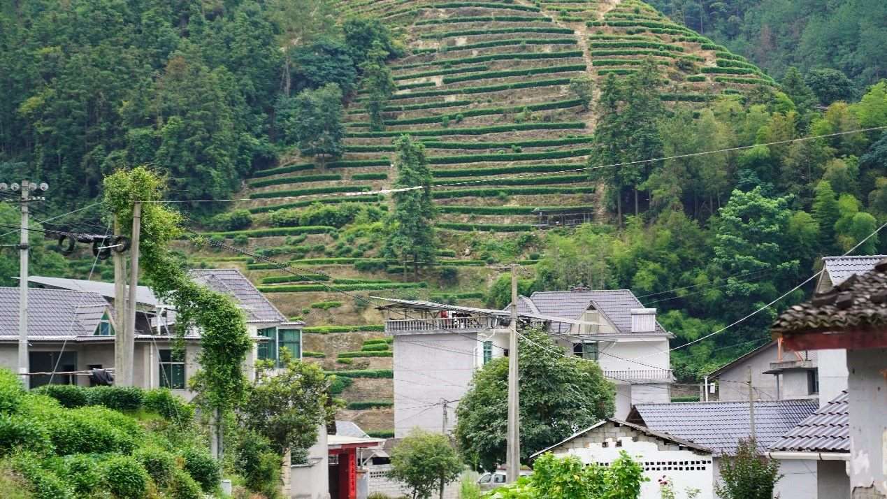 浙江工商大學(xué)初“芯”智治實踐團深入松陽鄉(xiāng)村展開走訪調(diào)研