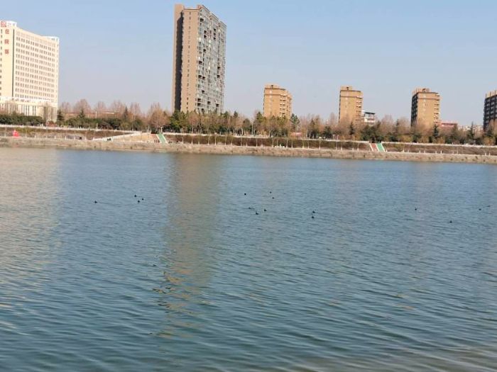 鄉(xiāng)村振興背景下內(nèi)鄉(xiāng)縣鄉(xiāng)村發(fā)展調(diào)研與優(yōu)化研究