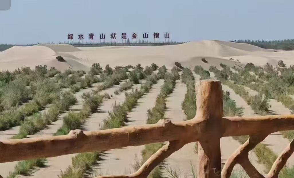 青春聚力沙?？椌G：生命科學與技術(shù)學院暑期三下鄉(xiāng)實踐團探秘麥蓋提“生態(tài)－民生”協(xié)同發(fā)展之路 芯生命·沙?？椌G·生態(tài)共謀 生態(tài)實踐團