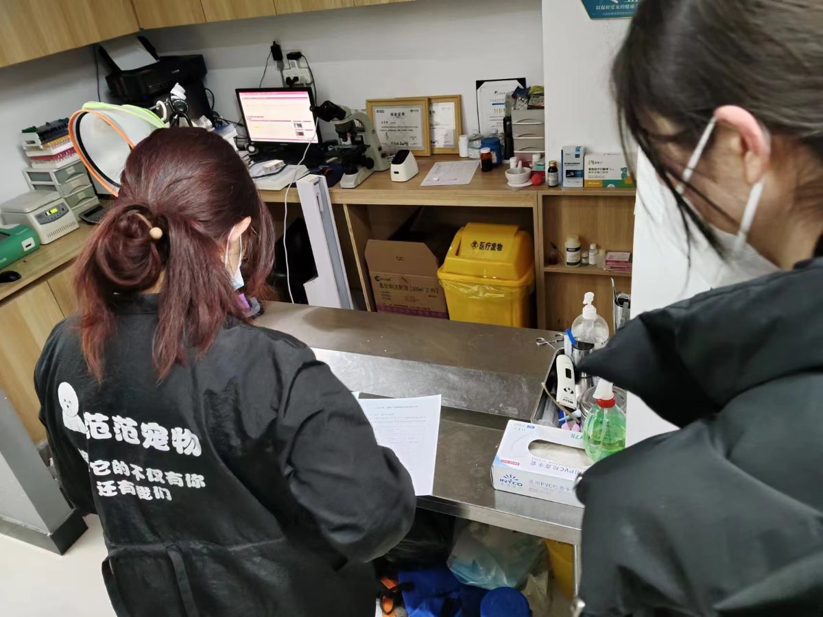 山東大學(xué)殼膜智匠實(shí)踐調(diào)研團(tuán)前往邯鄲市寵物醫(yī)院實(shí)地調(diào)研