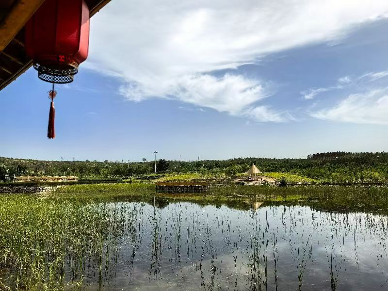 綠色轉(zhuǎn)型與民生發(fā)展的實(shí)踐探索——陜西省神木市大柳塔鎮(zhèn)與神東生態(tài)示范基地