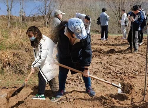 西安交通大學電氣、能動、經(jīng)金學院和南洋書院聯(lián)合開展植樹活動