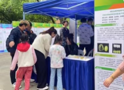 蘇大學(xué)子成功研發(fā)“絲綿一號”新型蠶品種