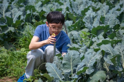 新農(nóng)人、新思路 帶農(nóng)走上新道路——記天津工業(yè)大學(xué)光雨潤禾團隊謝志明